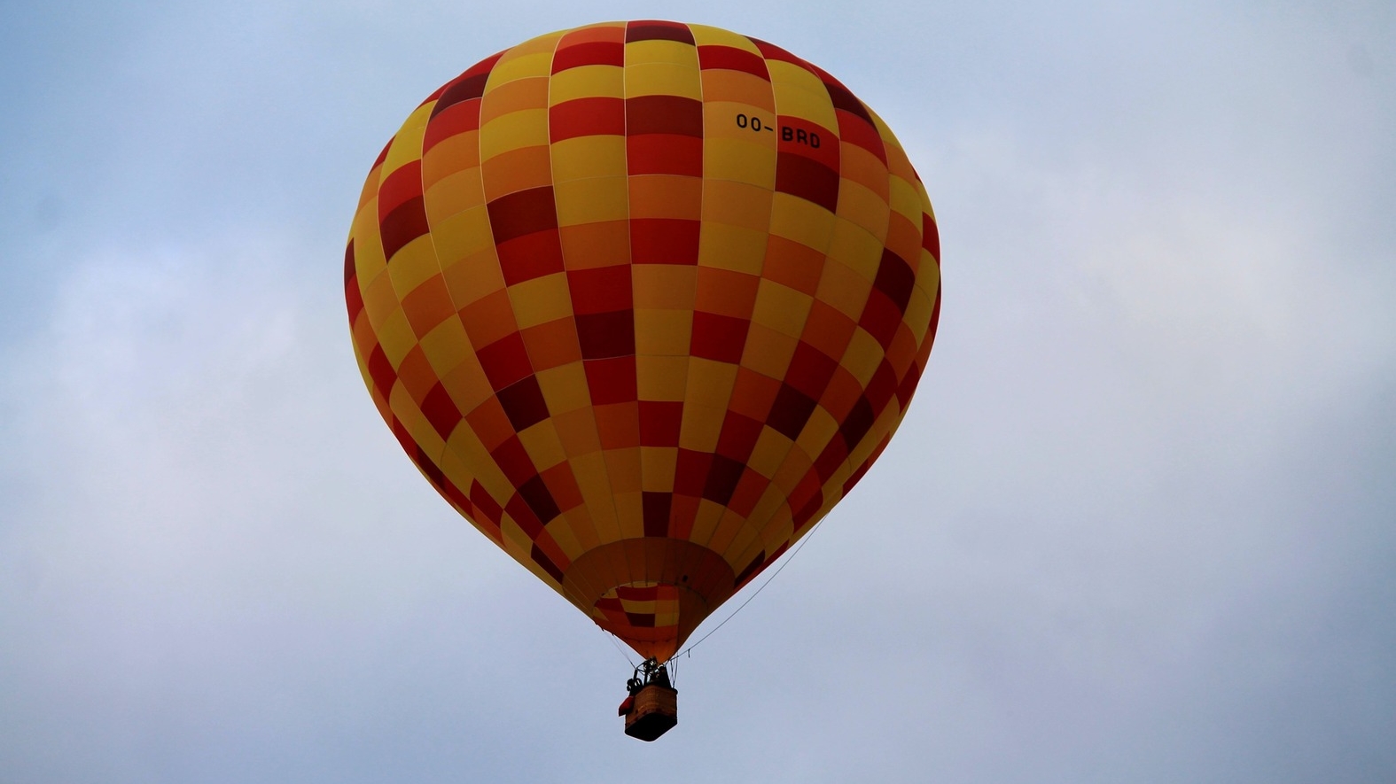 Во второй половине мая в небо Ленобласти поднимутся воздушные шары