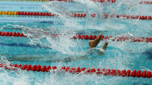 Больше 50 медалей выиграли петербургские пловцы на соревнованиях «Резерв России»