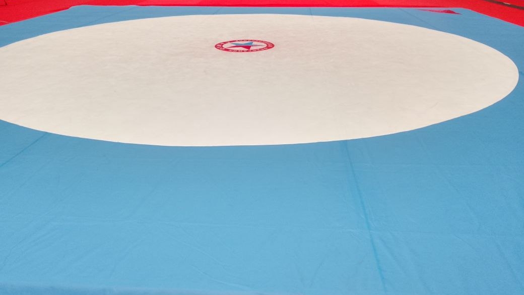 Дзюдоисты из Петербурга завоевали пять медалей на турнире в Тюмени