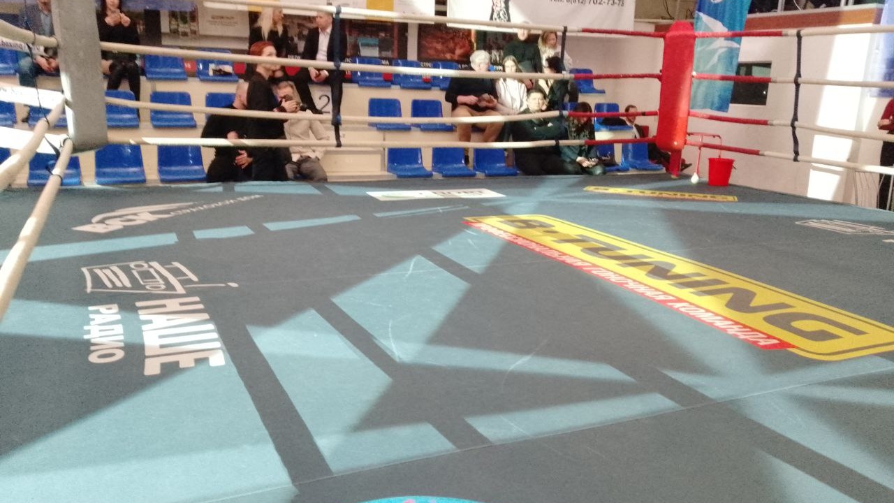 Боксеры из Петербурга завоевали три золотые награды на первенстве Европы