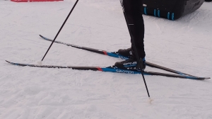 В Ленобласти подвели итоги Кубка Анны Богалий