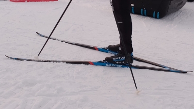 В Ленобласти подвели итоги Кубка Анны Богалий