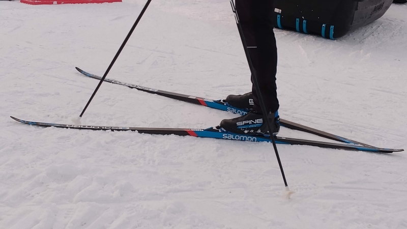 В Ленобласти подвели итоги Кубка Анны Богалий