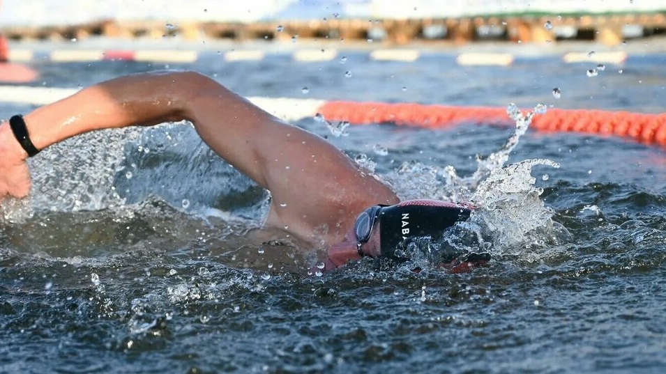 Сборная Петербурга попала в тройку сильнейших на чемпионате России по зимнему плаванию